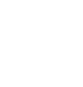 vvs fagmann - logo