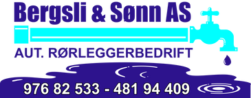Logo av Bergsli & Sønn AS
