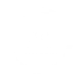 VVS logo