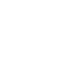 VVS logo