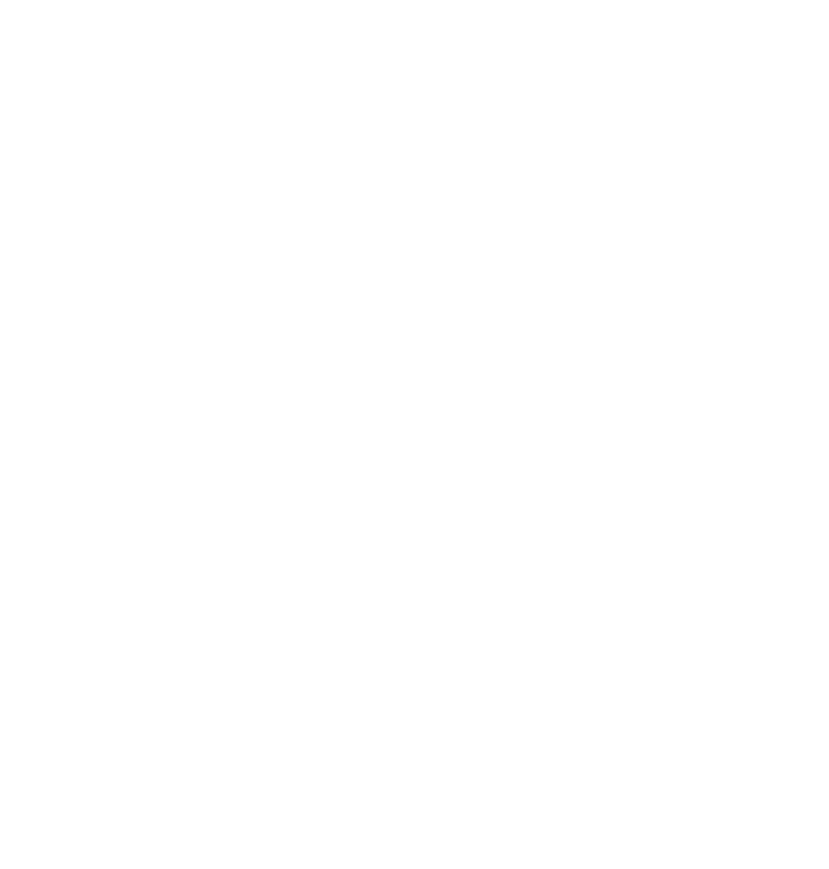 VVS logo